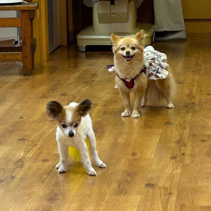 F91b8100 b46c 4818 a236 ef9378437e51 1757592539456