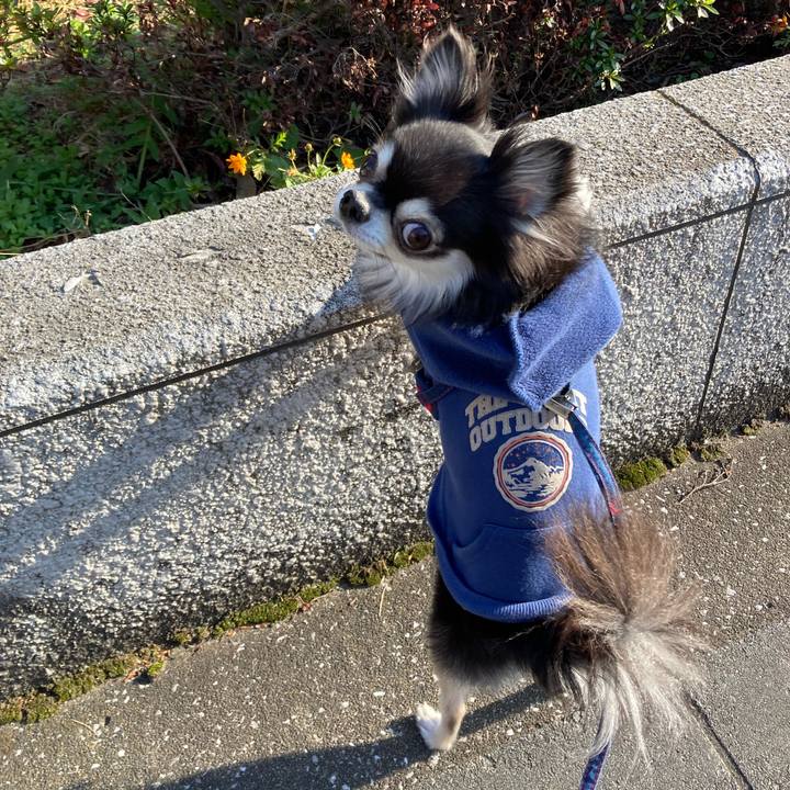 F91bf2bd 8da1 4a25 82b4 15f0efbb2622 1703749912540