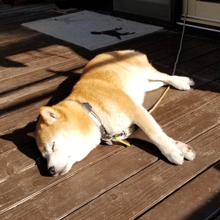 F91c7f39 a739 4f45 b8b3 335bcd7095a1 1623278462474