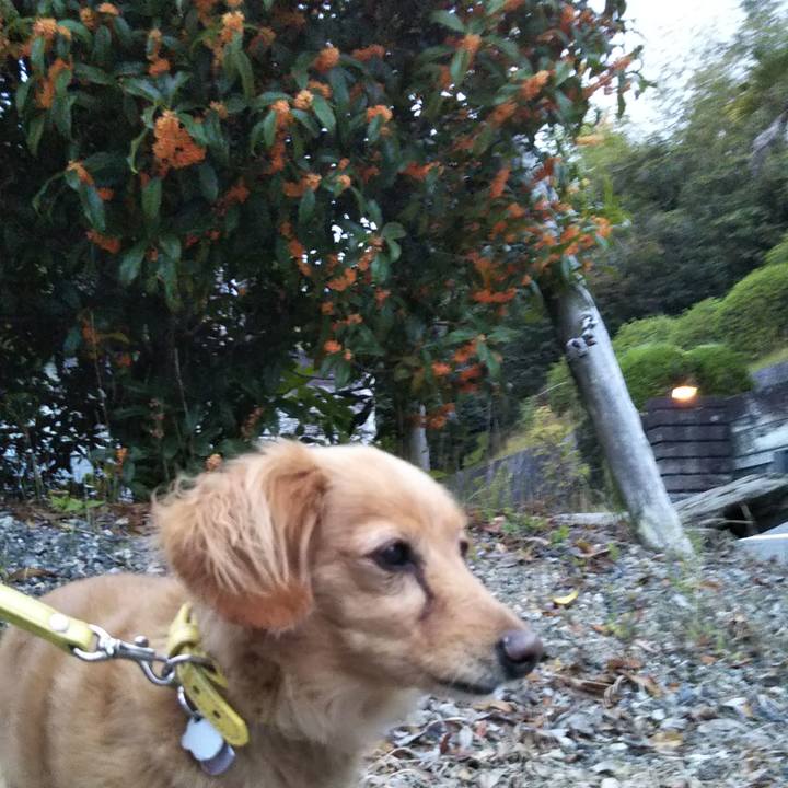 F91cce74 ec67 4d04 b22a bbd375be0731 1603316686124