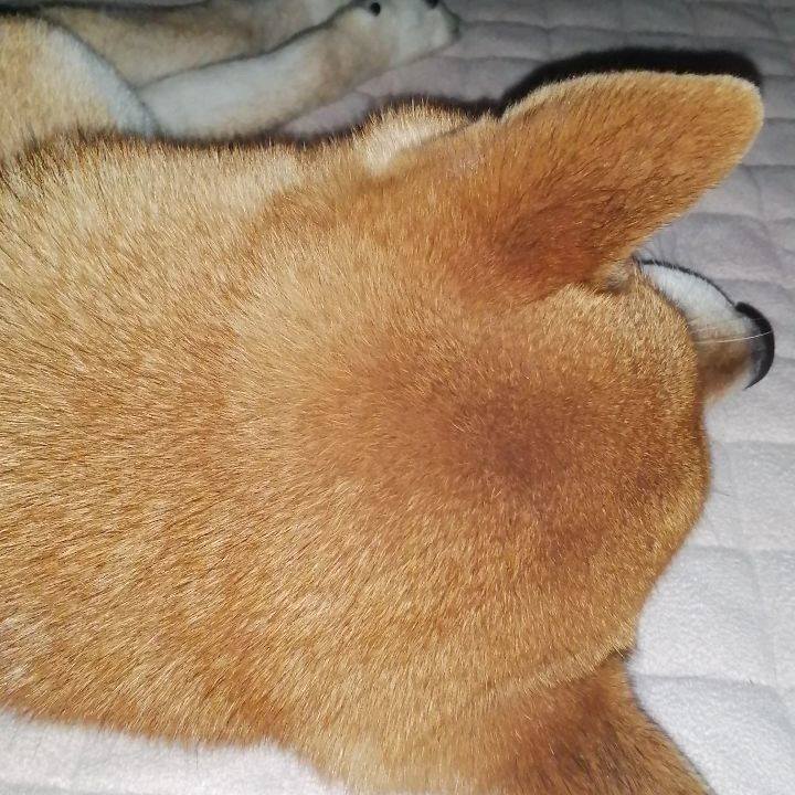 F91d41e4 4015 41ac 9f57 3f2f0b75b815 1611030114956