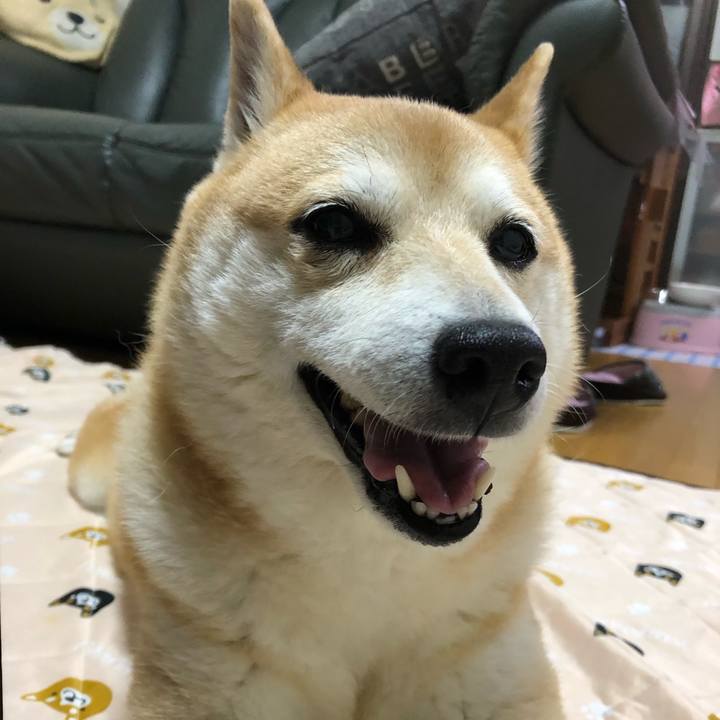 F91d461c 1d87 426c ac96 688b737756f4 1589639793012