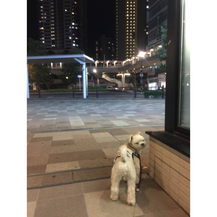 F91d5922 a368 4673 966b f7a3da9ae608 1530449994802