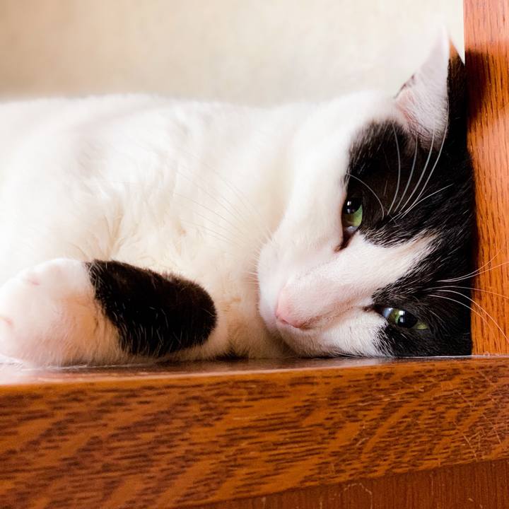 F91d976e 25cc 4714 b31b a6fbeb9cdd84 1564281005625