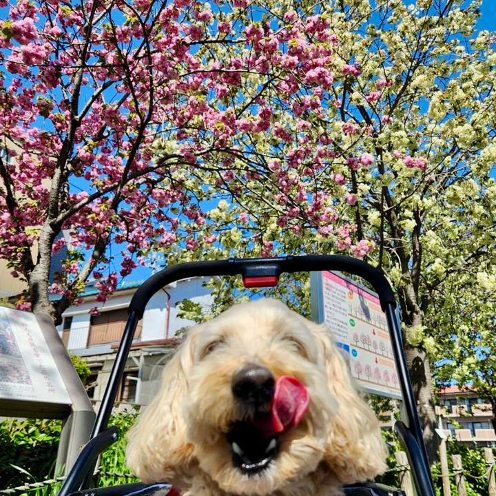 F91da742 a3f2 4c59 8fba 90c6edc8b226 1775635290655