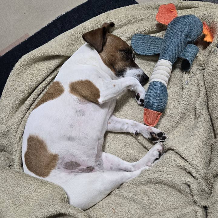 F91e2806 c19e 4aa0 bbbb 5f62ef8567de 1767791077623