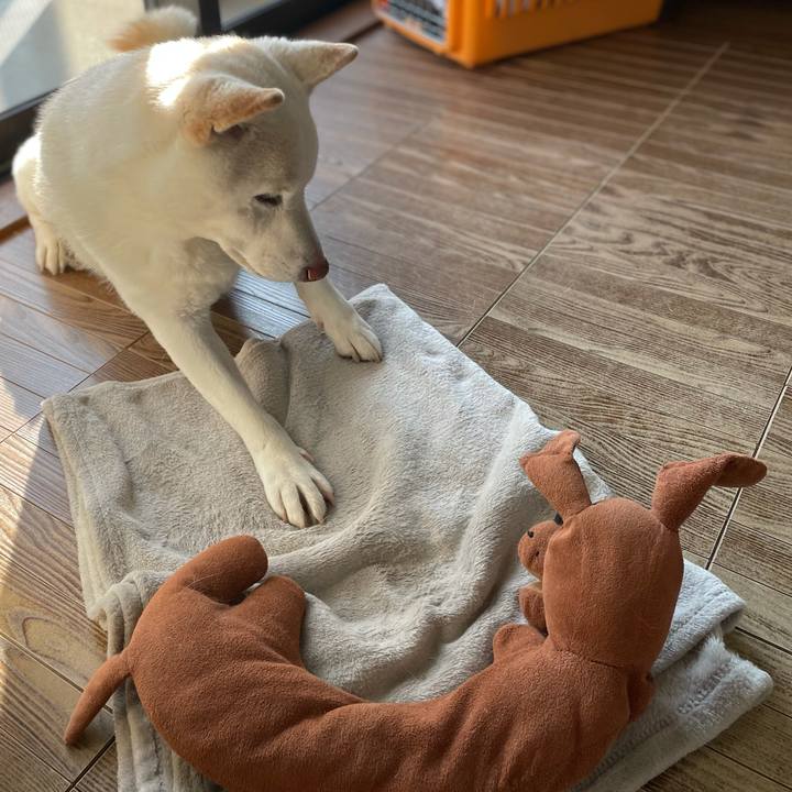 F91e6213 9f8b 4b2a 9a10 6713433168c2 1607406925446