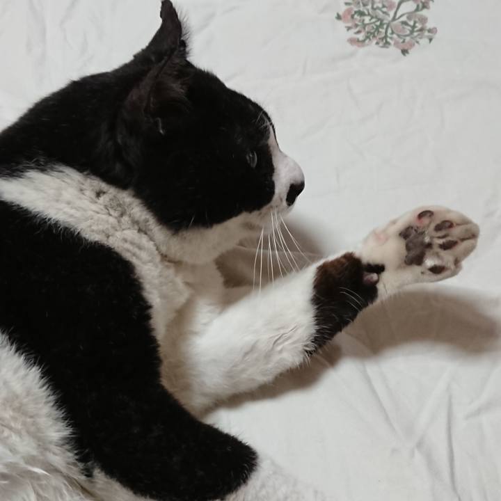 F91e7845 fd3b 448c a747 8bffae2cb109 1588596290346