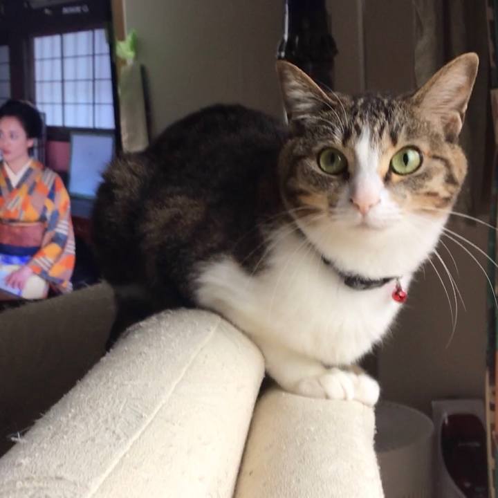 F91eba70 74fb 4858 b243 0932eb7061b1 1685661562350