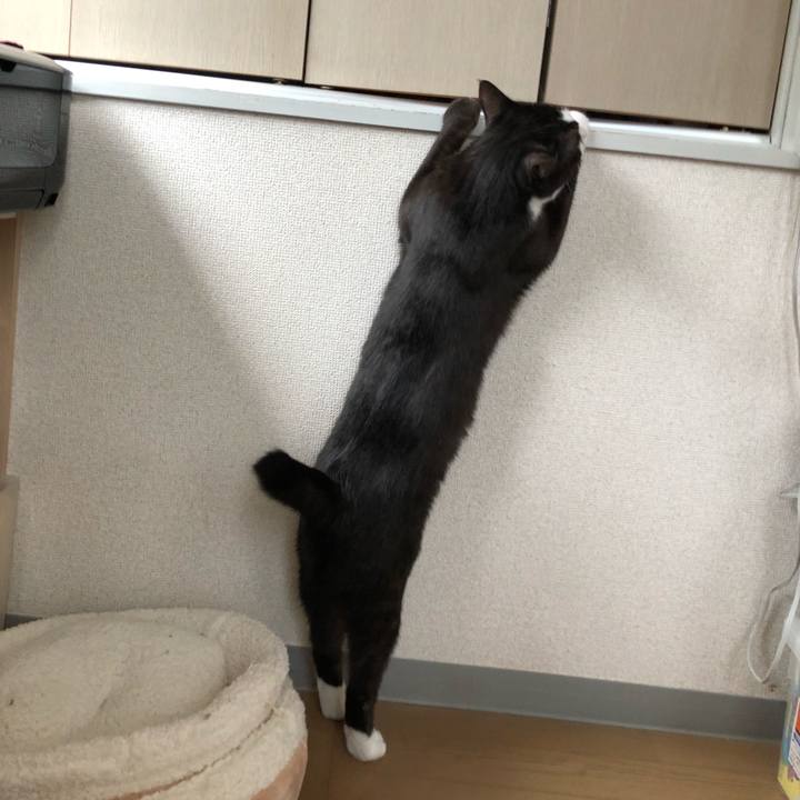 F91eca32 99c0 4a9f b5e3 428f6907332f 1521608628590