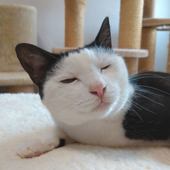 F91f19dd ec12 4a67 9d73 29e6679fe19f 1595389541957