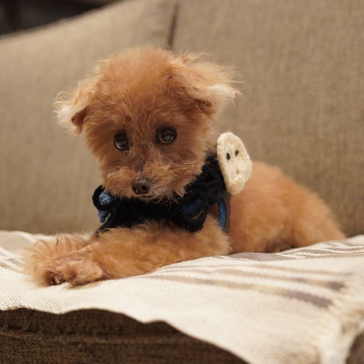 F91f38ad 2743 4598 b816 ca380bb3a479 1699879076867