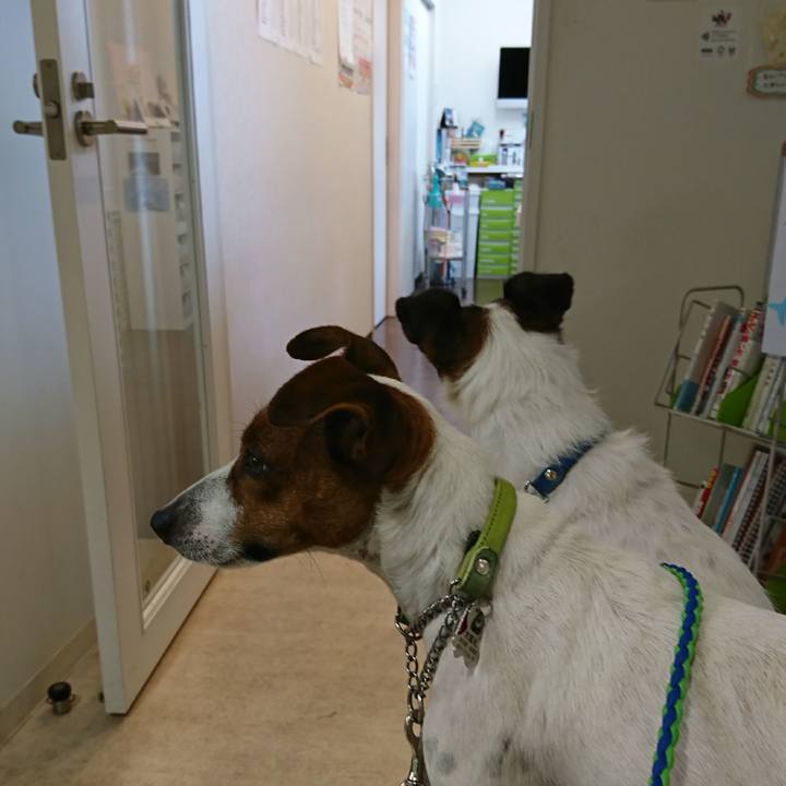 F91f60d3 1f96 4070 a18c a27575ab9fb5 1597740161709