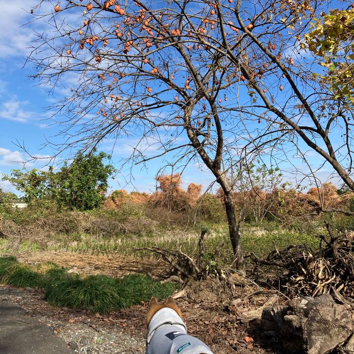 F91f9193 4412 4e99 b9c1 883db940c555 1763616652539