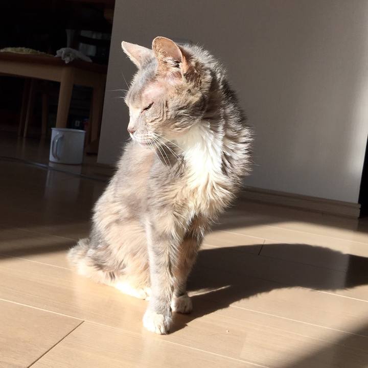 F91f9cfa fba0 4f42 a4ca a11b20aaab4f 1514610557228