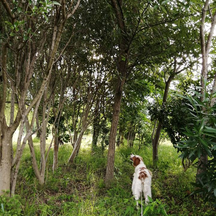 F91fcba1 d483 424d 86c7 d1ede150db1a 1625398286235