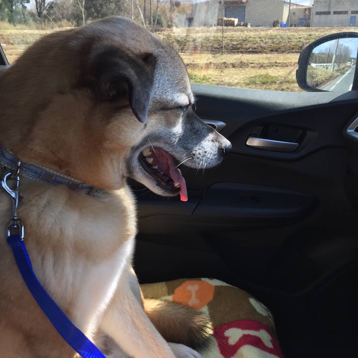 F91fd393 04ea 4a73 a0bf 812b31eae6fe 1519871553022