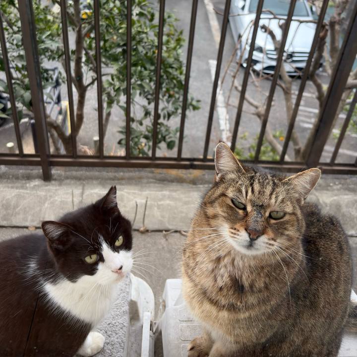 F9202031 422d 429a a7fd 531edd33c273 1772408834994