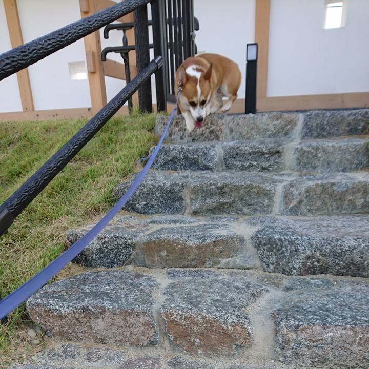 F920963e 91df 4a57 b6ea a7ad366d9319 1605076851032