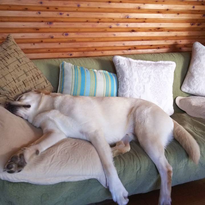 F920aa97 d4b5 438f 806b 9635540379a1 1523265521561