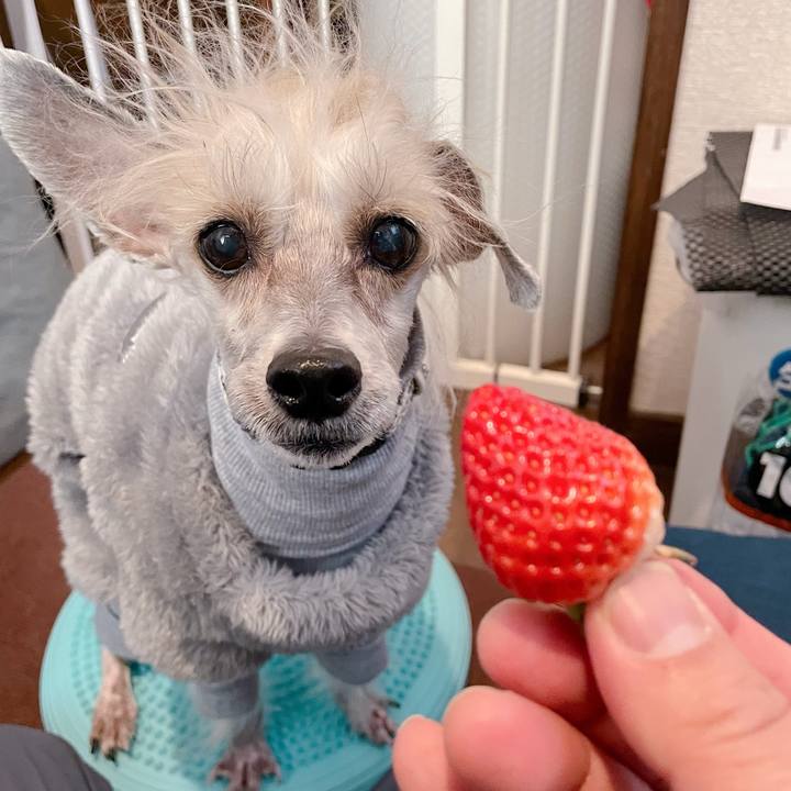 F920d8e9 848e 4910 b164 ebace573242c 1770625003837