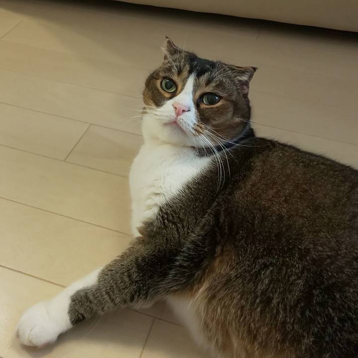 F920ed41 b3d4 44ee 9e92 2e2b405f673d 1672622222973