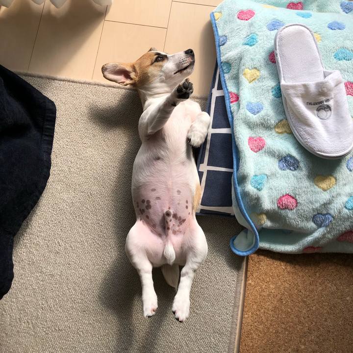 F920f470 0a18 4131 8b9b bf95c617f4dc 1549784246450