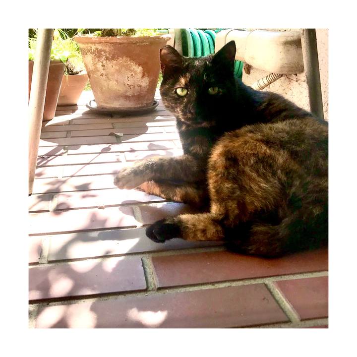 F9210350 cd46 487d 9bee dc979191c8ea 1636973164146