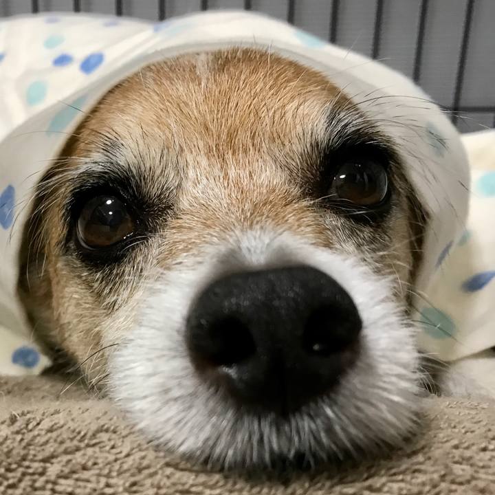 F92106c8 19b4 4a7e a0ed e62b7f9beeb3 1593612349997