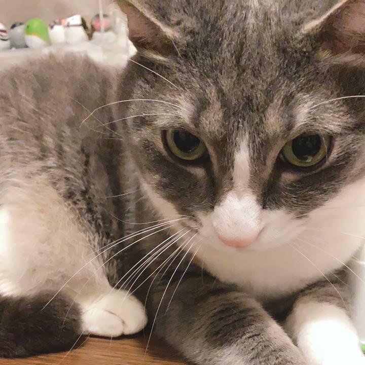 F92124ac 648a 4dbe b384 d5ae5a456021 1589806410032