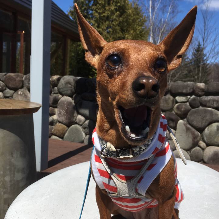 F92130fe a5a8 49b5 b592 aa2b139217ee 1590670707439