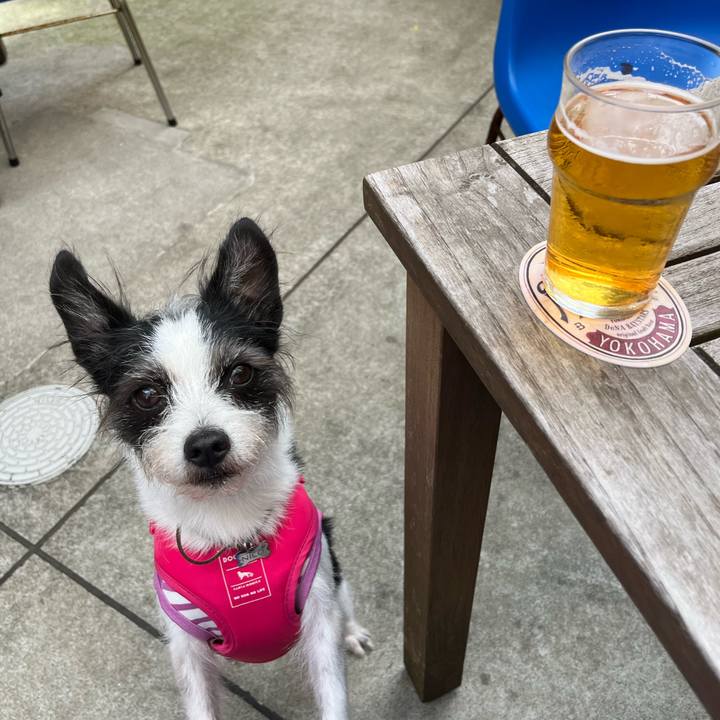 F92186ff 9237 4737 968f 4840918c4619 1662899358542