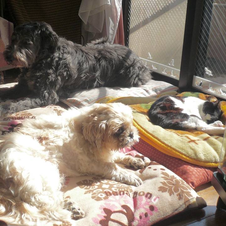 F9218ce6 7fc4 496e 825f 5d564e6aa4cf 1514374223806