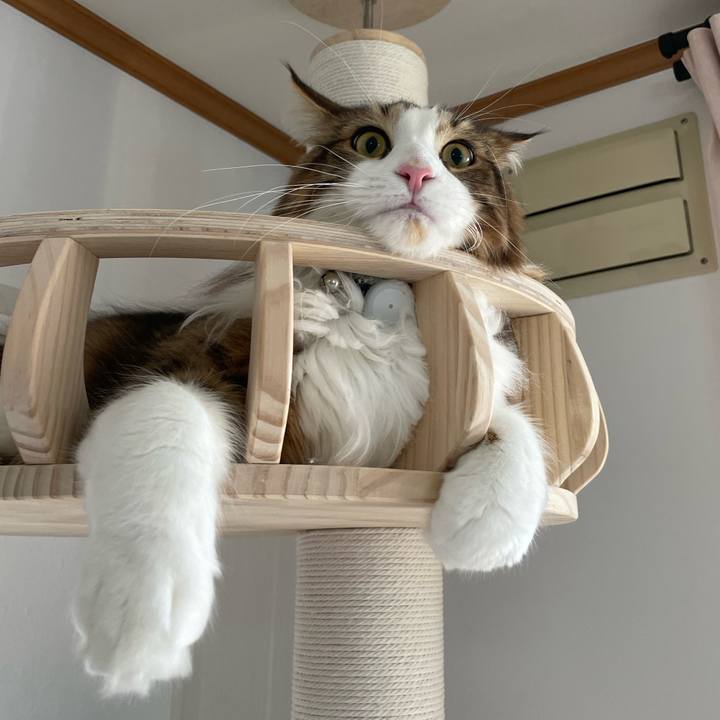 F921beaa 0f8d 4ba1 ac0f 4c3ce3ecfe2e 1651698516070