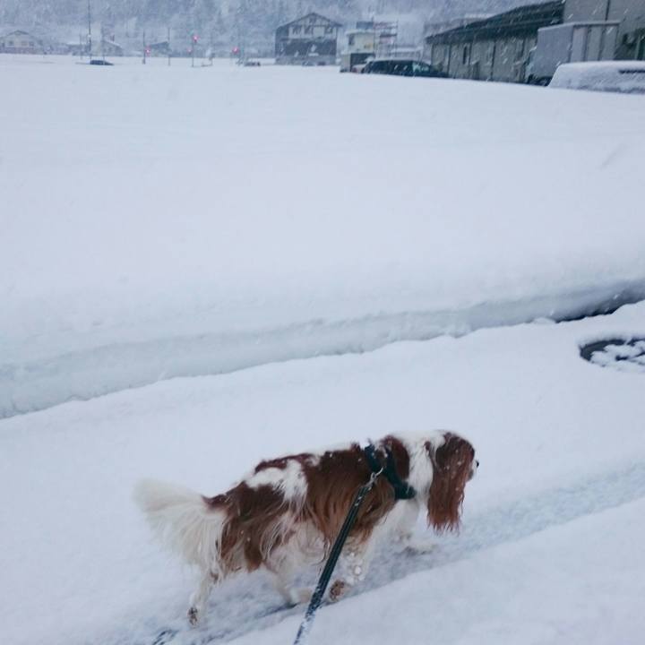 F921bff2 5284 474b 88e0 89c526faee7f 1550014842791