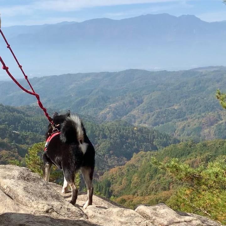 F921e115 d63e 4168 b6a6 c9bb505a18fc 1699525254397