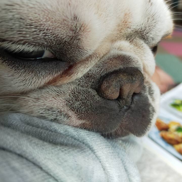 F921ebdd 1e97 418e 963e 5d4145982b72 1637050479823