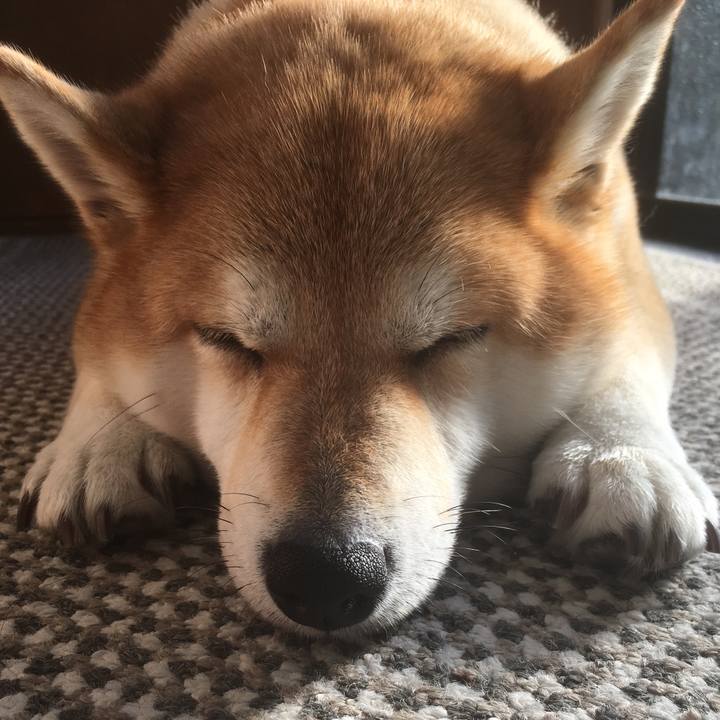 F9226663 b629 4d3d 99e0 c971b96d8b17 1545802611580