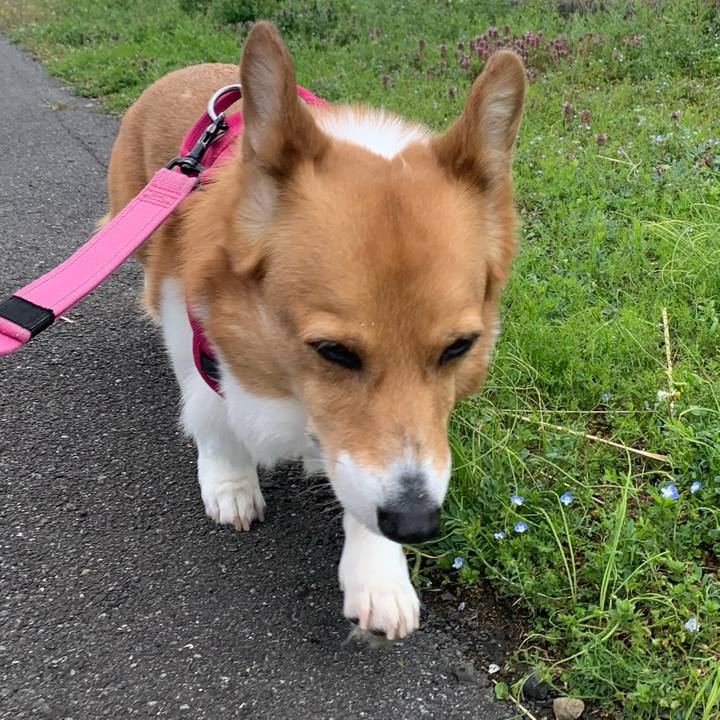 F9227716 3c4e 4eee 8e07 b9eda5e23b00 1712378034081