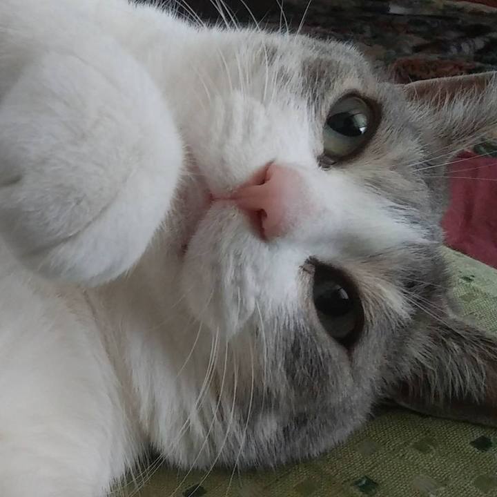 F9228fdf e5b9 46fd 87f4 b2f578aea891 1588084468636