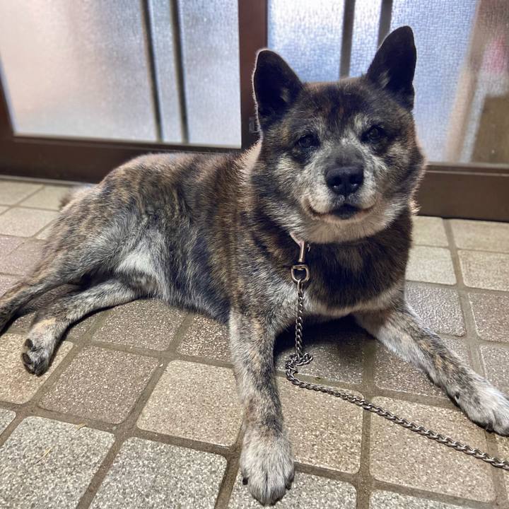 F922bf07 0747 4d62 ad1f 06919d65ed0e 1650606675501