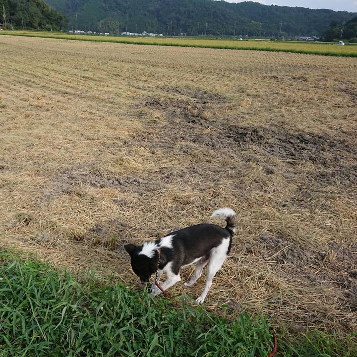 F922bfad 0fb4 4c90 8090 0b03d44943a8 1599121715462