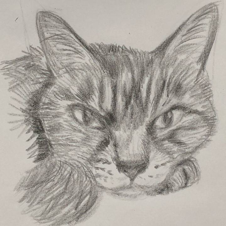 F922fe22 ffc7 4916 a3ee 083d24e4d056 1630530375867