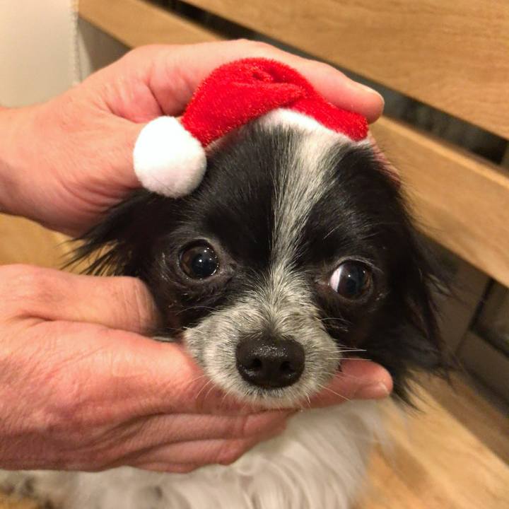 F922ff06 521e 46e5 8373 d8cfa11be2df 1513680373751