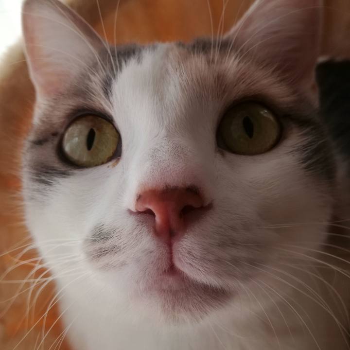 F9231da6 5c16 4ad9 9a17 e6abc24b9369 1518405095597