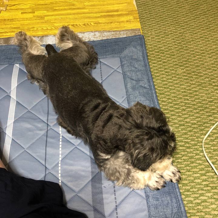 F9234609 3ef7 4c79 950c aeb9c63803f4 1662375577714