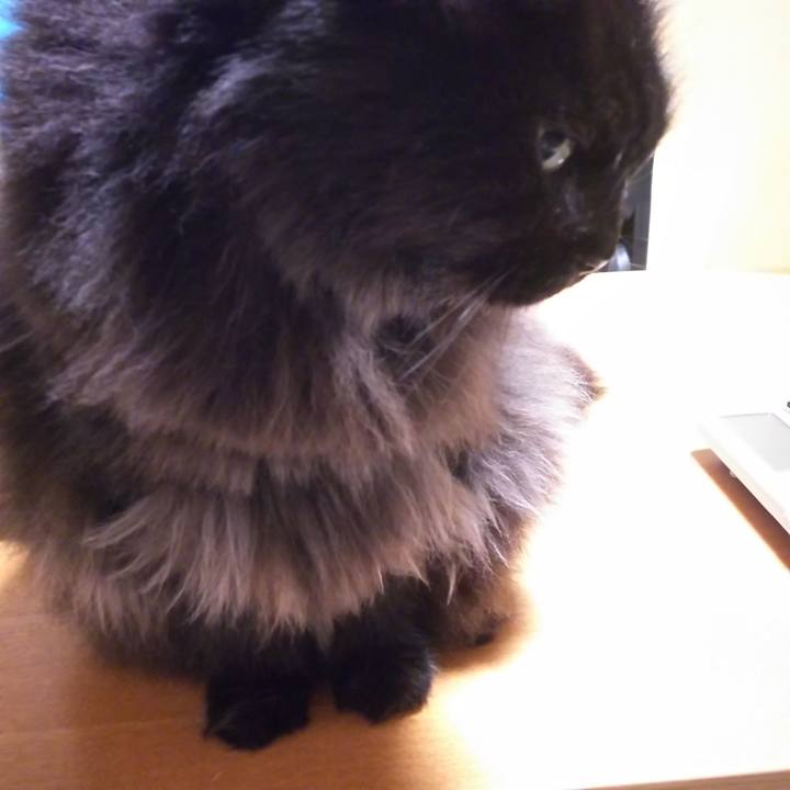 F9235490 306d 4a55 9ea5 6303b7ac115c 1567164413432