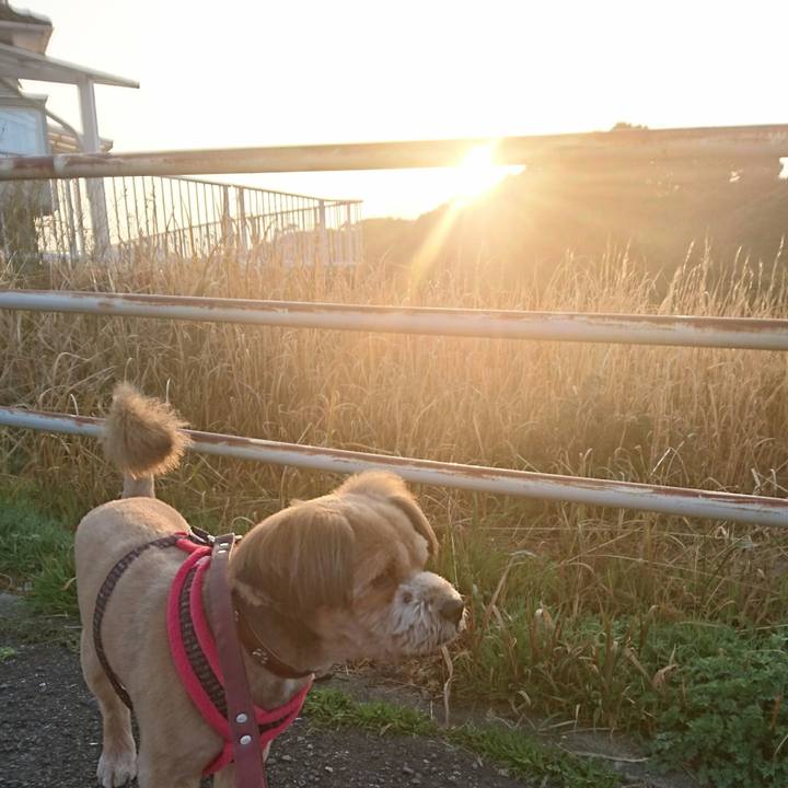 F923886a e098 4399 98c1 564d0bb2af49 1520896496244