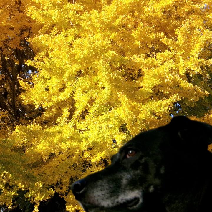 F9238c53 8d4d 4c93 b933 c2970ca5cd58 1733443984466