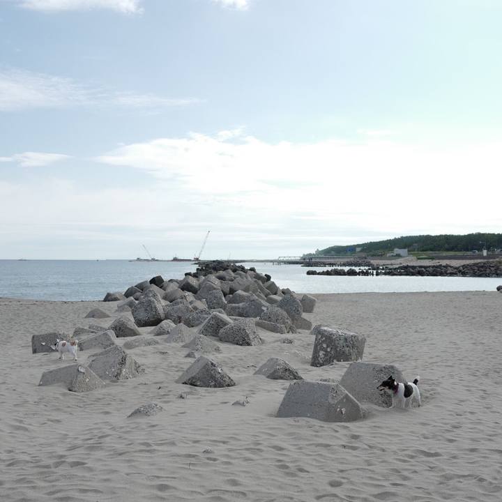 F923d176 b95e 46f9 bb96 07001ef0defb 1560312127140